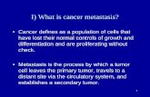 I) What is cancer metastasis? - unimi.itusers.unimi.it/minucci/Patologia_2017-2018/1718 Metastasi... · 2018-01-16 · I) What is cancer metastasis? • Cancer defines as a population