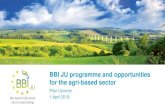 BBI JU programme and opportunities for the agri-based sector · 2019-04-05 · BBI JU contribution to the agricultural sector Impact on primary producers and rural development (*)