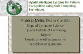 Patricia Melin, Oscar Castillo - IEEEewh.ieee.org/cmte/cis/mtsc/ieeecis/tutorial2007/Tutorial... · 2007-08-22 · Hybrid Intelligent Systems for Pattern Recognition using Soft Computing