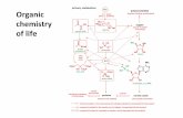 Organic chemistry of0life - uniurb.it · Organic chemistry of life.ppt Author: giovanni Created Date: 2/26/2016 7:10:38 AM ...
