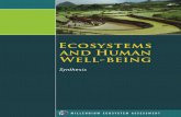 MILLENNIUM ECOSYSTEM ASSESSMENT Ecosystems AND … · Figure B. Millennium Ecosystem Assessment Conceptual Framework of Interactions between Biodiversity, Ecosystem Services, Human