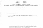 Joint UNDP/World Bank Energy Sector Management Assistance ...documents.worldbank.org/curated/en/464791468749782808/pdf/multi-page.pdf · Joint UNDP/World Bank Energy Sector Management