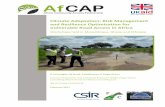 Climate Adaptation: Risk Management and Resilience ... · Climate Adaptation: Risk Management and Resilience Optimisation for Vulnerable Road Access in Africa Workshops held in Mozambique,