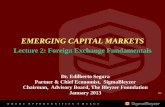 EMERGING CAPITAL MARKETS - bleyzerfoundationbleyzerfoundation.org/files/lectures/1to23_lec/2... · The Gold Standard, 1876-1913: – In 1821, the UK introduced the first gold standard