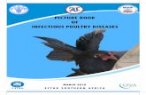 PICTURE BOOK OF INFECTIOUS POULTRY DISEASESitpnews.com/uploads/2017/03/color atlas of poultry... · 2017-03-15 · This “Picture book on infectious poultry diseases’’ has been