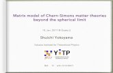 Matrix model of Chern-Simons matter theories beyond the spherical …seminar/pdf_2016_kouki/... · 2019-03-29 · Shuichi Yokoyama Yukawa Institute for Theoretical Physics 10. Jan.