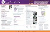 STP Vision Society of Toxicologic Pathology · 2019-02-25 · Society of Toxicologic Pathology STP Vision Be an international leader for improvement of human, animal, and environmental