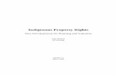Indigenous Property Rights · disciplines and ensure they take proper account of Indigenous peoples’ property rights and interests and their culture. In this paper, we endeavour