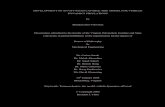DYNAMICS SIMULATIONS Brendan Juin-Yih Chan Doctor of … · 2020-01-18 · ii DEVELOPMENT OF AN OFF-ROAD CAPABLE TIRE MODEL FOR VEHICLE DYNAMICS SIMULATIONS Brendan Juin-Yih Chan