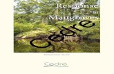 Response Mangroveswwz.cedre.fr/content/download/8884/139973/file/extract-mangrove.pdf · Response in Mangroves Operational Guide Purpose of this guide An oil spill in a mangrove can