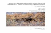 Identifying and Evaluating Techniques for Wildlife Habitat ...Identifying and Evaluating Techniques for Wildlife Habitat Management in Interior Alaska: Moose Range Assessment Final