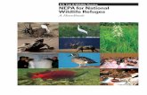 A HandbookNEPA for National Wildlife Refuges A Handbook U.S. Fish & Wildlife Service Erin Carver and James Caudill, Ph.D. Division of Economics U.S. Fish and Wildlife Service Wildlife