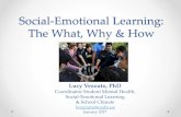 Social-Emotional Learning: The What, Why & Ho 2017 PBIS...& School Climate lvezzuto@ocde.us ... Strong work ethic 6. Motivation - initiative 7. Flexibility - adaptability 8. Analytical