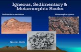 Igneous, Sedimentary & Metamorphic Igneous, Sedimentary & Metamorphic Rocks Sedimentary-sandstone Metamorphic-