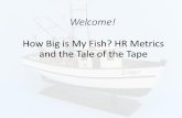 How Big is My Fish? HR Metrics and the Tale of the Tape 2. Identify howHR will achieve these goals and