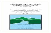 WASTEWATER TREATMENT SLUDGE AND SEPTAGE …dec.vermont.gov/sites/dec/files/wmp/residual/RMSWhitePaper.pdfWASTEWATER TREATMENT SLUDGE AND SEPTAGE MANAGEMENT IN VERMONT May 2017 Page