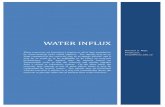 WAT R IN LUX · 2017-04-19 · 3 1. The Pot Aquifer Model The simplest model that can be used to estimate water influx into a gas or oil reservoir is the pot aquifer model. The assumptions