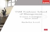 TSM Toulouse School of Management · 2019-07-18 · Responsable du cours: Benjamin HAMEAU - benjamin.hameau@tsm-education.fr Présentation et objectifs pédagogiques À la fin de