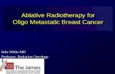 Oligo metastatic Breast Cancer - Physicians' Education Resourcee-syllabus.gotoper.com/_media/_pdf/MBC14_Fri_0830_White... · 2014-03-11 · Oligo Metastatic Breast Cancer Julia White
