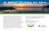 A Mini Guide to the - Ouse Washesousewashes.org.uk/.../2017/02/OWLP-mini-guide-Nov-2016.pdf · 2017-02-01 · A Mini Guide to the Ouse Washes Landscape. Ely – boasting one of the
