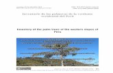 Inventario de las palmeras de la vertiente occidental del Perú · y documentadas en la vertiente oriental (cuenca atlántica), en comparación a la cuenca pacífica, donde la escasez