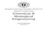 RENSSELAER POLYTECHNIC INSTITUTE School of Engineering ... · challenges that fall on the chemical engineering profession. An undergraduate degree that works! Our chemical engineering