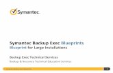 Blueprint for Large Installations - Veritas · Example Diagram: Large Installation High-level best practices Symantec Backup Exec Blueprints 13 ... When firewall access is required,