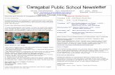 Email: caragabal-p.School@det.nsw.edu.au Principal: Judith ... · - All McCAIN frozen vegetable and McCAIN Purely Potato 500g, 600g, ... Recipe for the Week: This week I have included