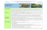 Vegetation Gabions - Bundesanstalt für Wasserbau …...Technical-biological Bank Protections Applied on Inland Waterways Vegetation Gabions (Reed Gabions) Specification (status: February