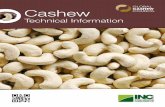 Cashew - Dried fruit · 2019-01-24 · The cashew tree produces a soft, shiny, and juicy fruit, known as cashew apple which bears a single-seeded nut in its bottom covered with a