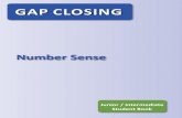 Gap ClosinG - EduGAINsedugains.ca/resourcesMath/CE/LessonsSupports/GapClosing/NumberSense... · The numerator (top) tells how many items you are talking about. The denominator (bottom)