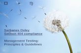 J - gsac.gov.gr · SOX s404 Management Testing J Testing Concepts: Risk Assessment A risk-based approach is important so that: – we determine the correct key controls – Key controls