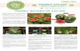 N Organic outlook N - Four Seasons...Organic outlook N APRIL 7 - APRIL 14, 2017 N Organic Watermelon outlook Organic Mini Seedless Watermelons started this week in a limited way. Vol-umes