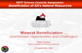 Downstream Opportunities and Challenges! · Annual Report . Mintek operates in the latter stages of the Mining Value Chain ... Turnkey gold refinery using Mintek Minotaur® technology