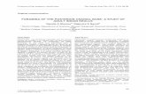 FORAMINA OF THE POSTERIOR CRANIAL BASE: A STUDY OF … Communication - Foramina...Foramina of the posterior cranial base Rev Arg de Anat Clin; 2011, 3 (2): 89-98 _____ Todos los derechos