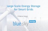 Large Scale Energy Storage for Smart Grids · DI Werner Gamon . History of BlueSky Energy 2000 - Foundation of the Company AlliedPanels Development and production of innovative products