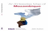 AN ENTERPRISE MAP OF MOZAMBIQUE - LSE Research Onlineeprints.lse.ac.uk/64096/1/Enterprise_map_Mozambique.pdf · AN ENTERPRISE MAP OF MOZAMBIQUE John Sutton ... Sociedade de PescasdeMariscos–Pescamar,Lda