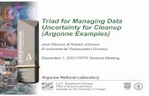 Triad for Managing Data Uncertainty for Cleanup (Argonne ... · Implementation (CMI) RCRA (Resource Conservation and Recovery Act) Discovery. 7 Pioneering Science and Technology Office