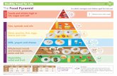 The Food Pyramid - safefood | Food Safety, Healthy …...In very small amounts NOT every day 2 Servings a day 5-7 Servings a day 3 Servings a day Up to 7* for teenage boys and men