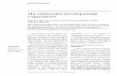The Deliberately Developmental Organization · the organization’s purposes, practices, and form of community—are orchestrated explicitly and harmoniously to produce an immersive