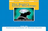The Brain’s Inner Workings - Arizona Science Center · Natio N al iN stitute of Me N tal Healt H The Brain’s Inner Workings: A Guide for Teachers 3 The National Science Education