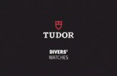 DIVERS’ WATCHES · RECOMMENDATIONS Bronze: Your Black Bay Bronze is designed in bronze, in this case a high-performance aluminum bronze alloy, which guarantees the development of