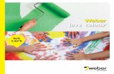love colour - Weber UK · love colour. Synthetic Finish Colour Range Synthetic Finish Colour Range 2 3 ... Where the specifier requires colours that are outside the technical possibilities