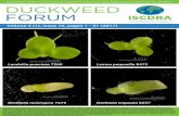 Newsletter of the Community of Duckweed Research and ...Oct 26, 2017  · Newsletter of the Community of Duckweed Research and Applications, edited by the ISCDRA Volume 5 (1), issue