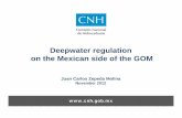 Deepwater regulation on the Mexican side of the GOM · If Pemex, by itself, were to discover and develop the deepwater hydrocarbon potential in the Perdido Fold Belt Area (13,000