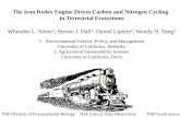 The Iron Redox Engine Drives Carbon and Nitrogen …...The Iron Redox Engine Drives Carbon and Nitrogen Cycling in Terrestrial Ecosystems Whendee 1L. Silver , Steven J. Hall 1, Daniel