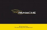 Panache Training Academy · About Panache Training Academy Welcome to Panache training academy where your dreams can become a reality. Our training program is personalized as per
