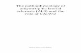 The pathophysiology of amyotrophic lateral sclerosis (ALS ...fse.studenttheses.ub.rug.nl/14707/1/Bachelorscriptie_final_version.pdfin the microtubule-associated protein tau. In one