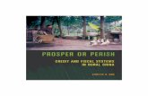 Prosper or Perish - WordPress.com · 2017-09-26 · 4 PROSPER OR PERISH were pacified only when the central government intervened to require local gov-ernments to pay off RCF debts