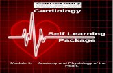Cardiology - Template.netDeveloped by Tony Curran (Clinical Nurse Educator) and Gill Sheppard (Clinical Nurse Specialist) Cardiology (October 2011) INTRODUCTION Welcome to Module 1: